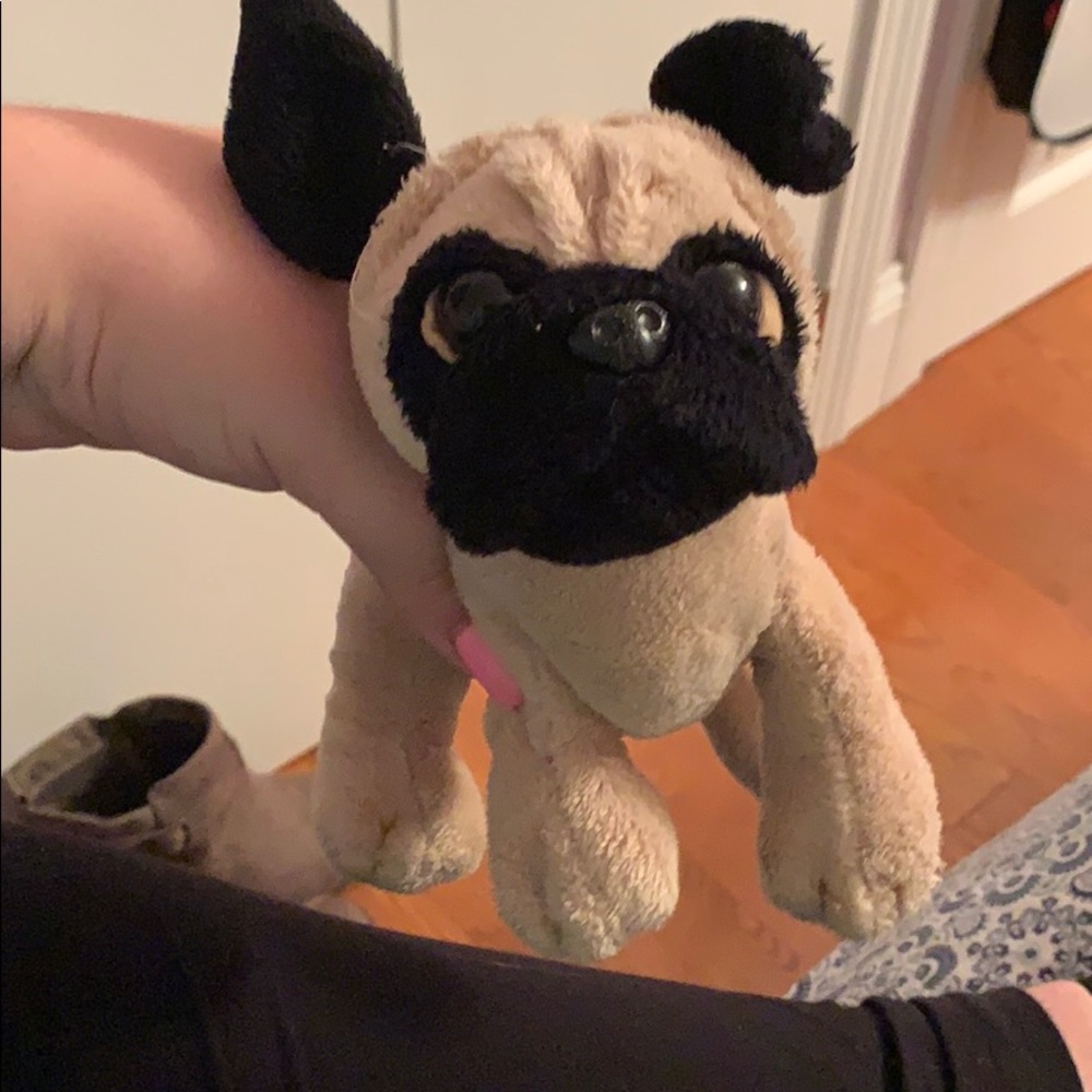 Webkinz Pug